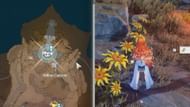 Luminous Calendula locations near Atilius Canyon (Image via Kuro Games)